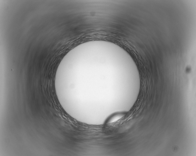 X0000091861010200709050952