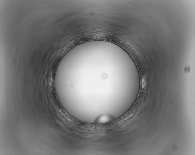 X0000091861011200709050952