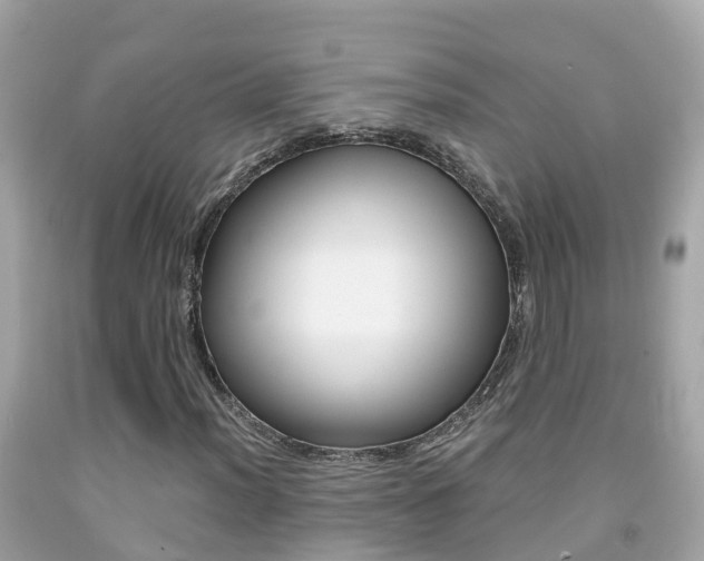 X0000091861012200709050952