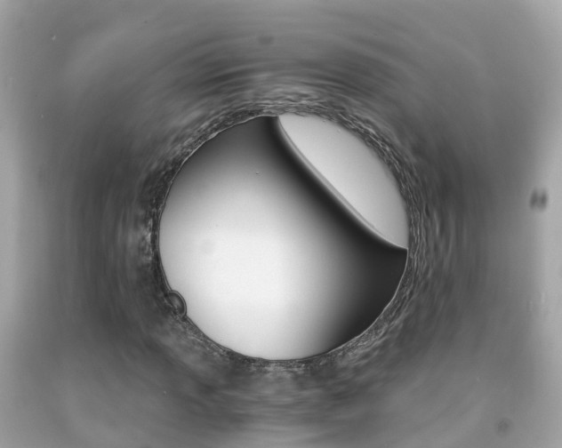 X0000091861013200709050952