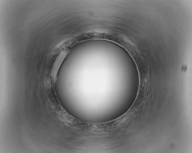 X0000091861014200709050952