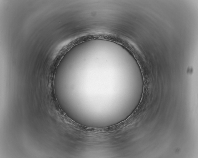 X0000091861016200709050952