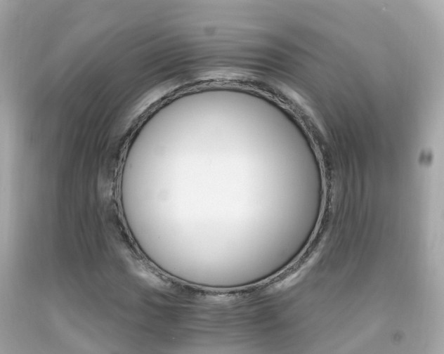 X0000091861017200709050952