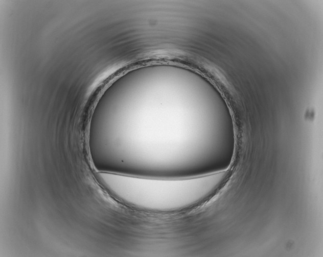 X0000091861018200709050952