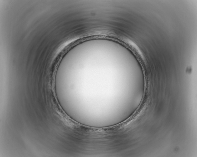X0000091861019200709050952