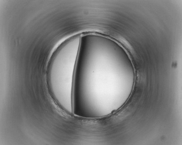 X0000091861020200709050952