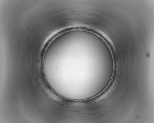 X0000091861021200709050952
