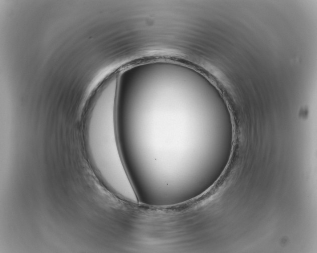 X0000091861022200709050952
