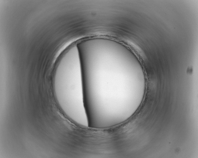 X0000091861023200709050952