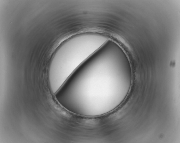 X0000091861025200709050952