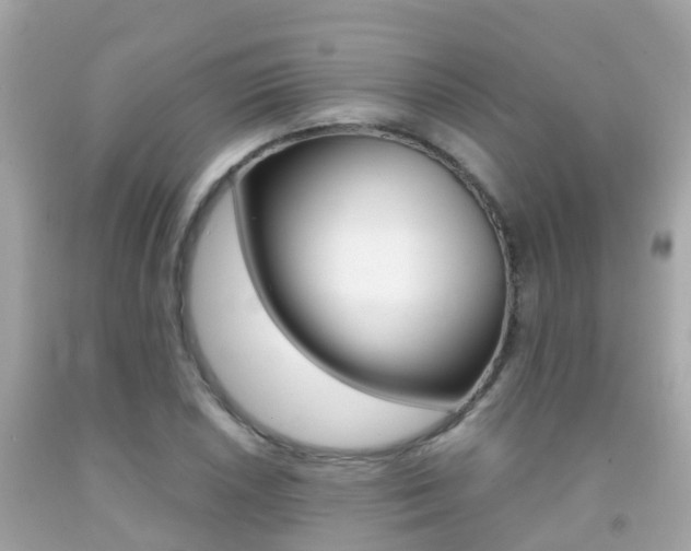 X0000091861026200709050952