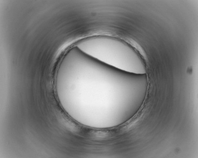 X0000091861027200709050952