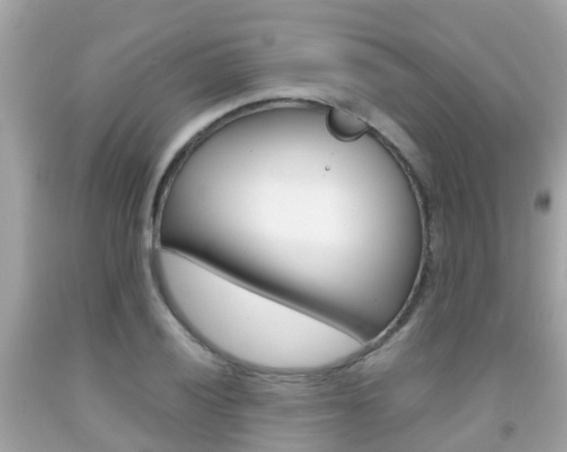 X0000091861028200709050952