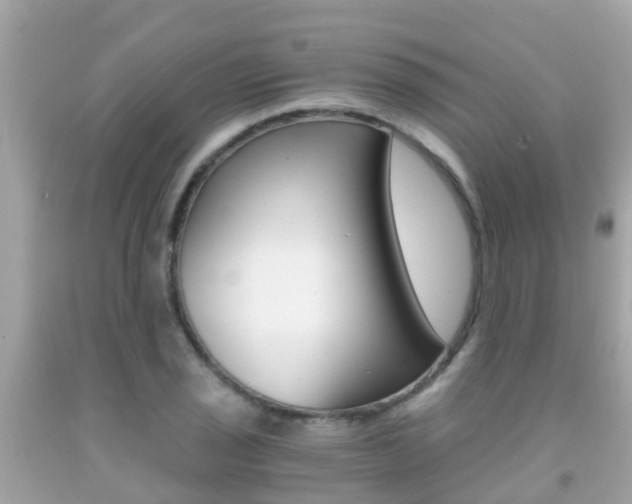 X0000091861029200709050952