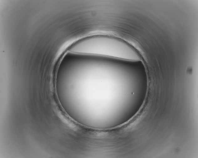 X0000091861030200709050952