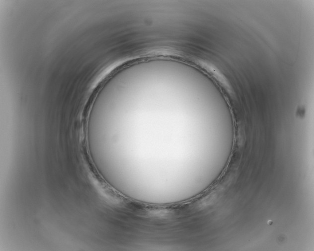 X0000091861031200709050952