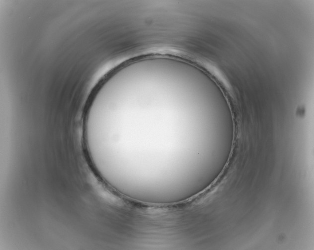 X0000091861032200709050952