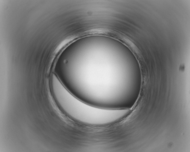 X0000091861034200709050952