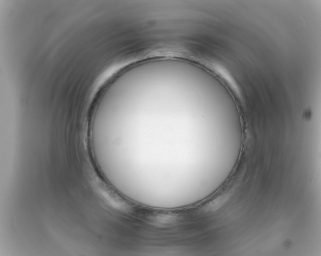 X0000091861035200709050952