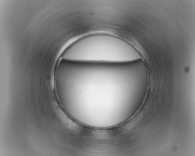 X0000091861036200709050952