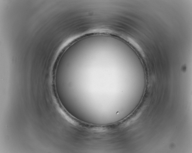 X0000091861037200709050952
