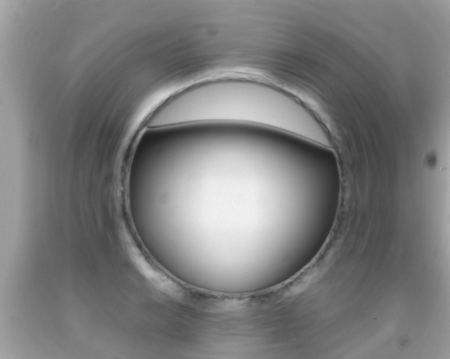 X0000091861038200709050952