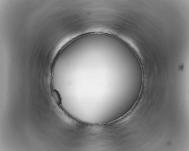 X0000091861040200709050952