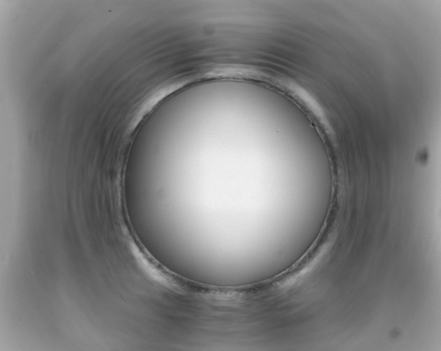 X0000091861041200709050952