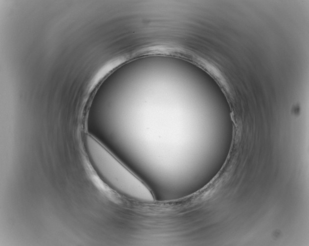 X0000091861042200709050952