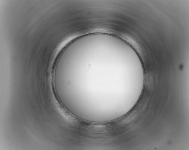 X0000091861043200709050952