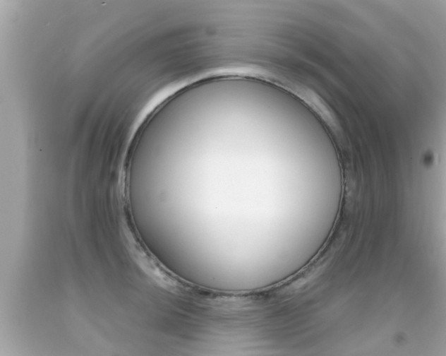 X0000091861044200709050953