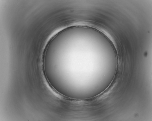 X0000091861045200709050953