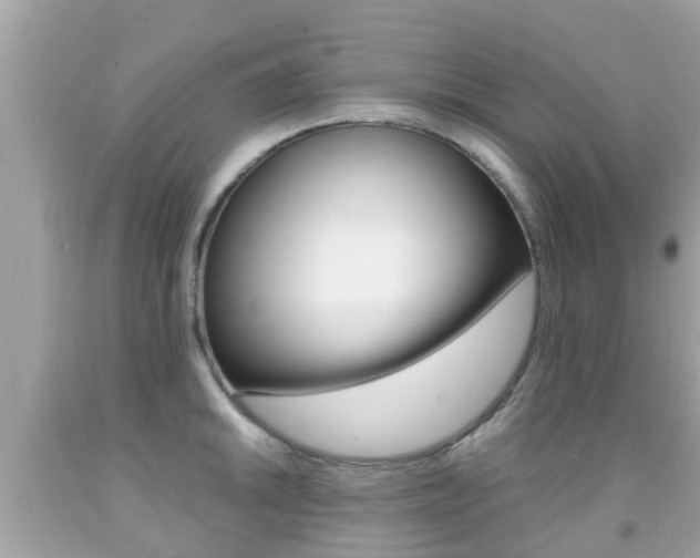 X0000091861046200709050953