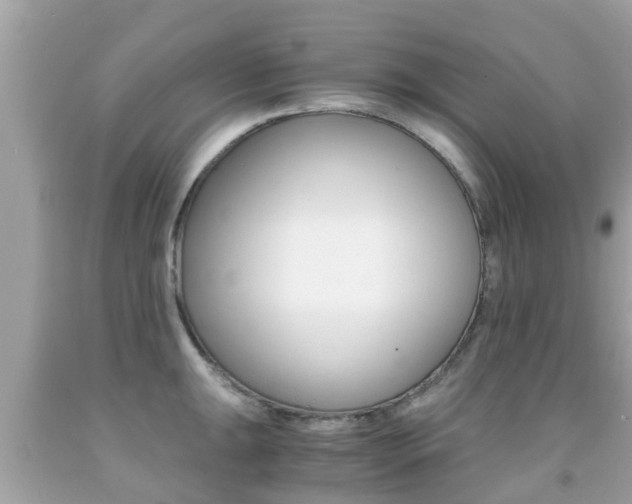 X0000091861047200709050953