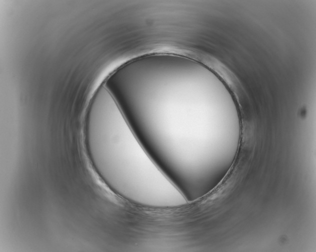 X0000091861048200709050953