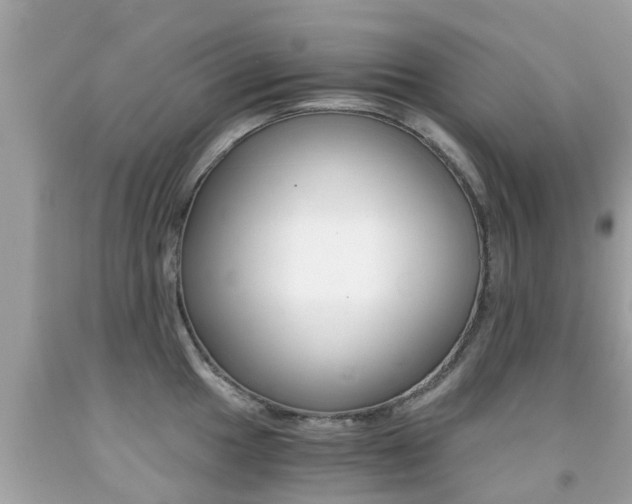 X0000091861049200709050953