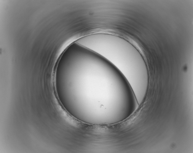 X0000091861050200709050953