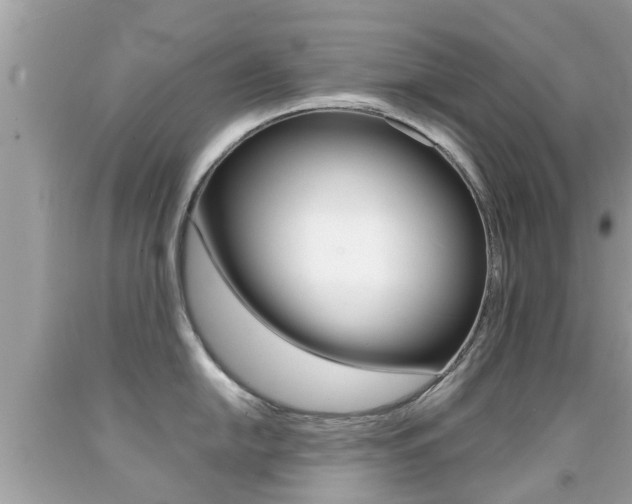 X0000091861054200709050953