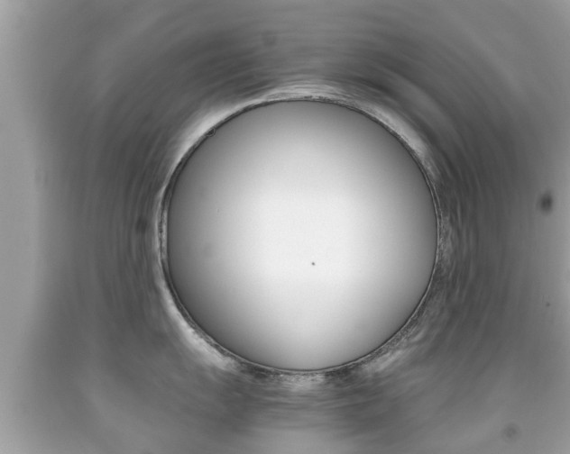 X0000091861055200709050953