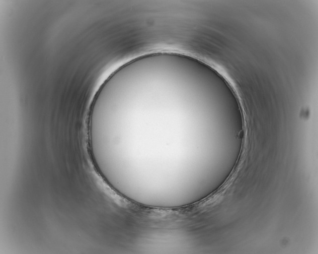X0000091861056200709050953