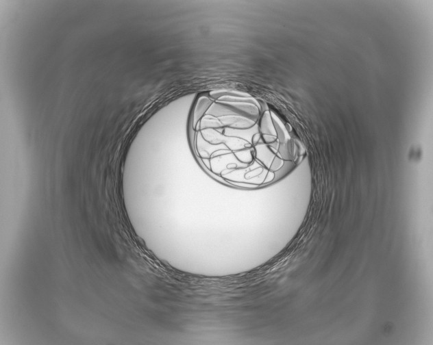 X0000091861057200709050952