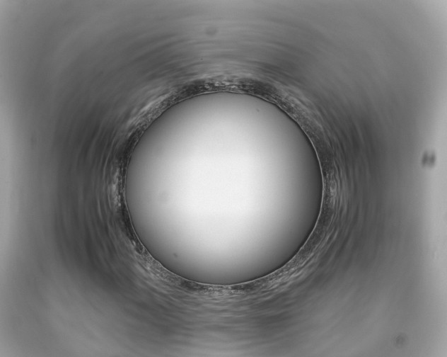 X0000091861060200709050952