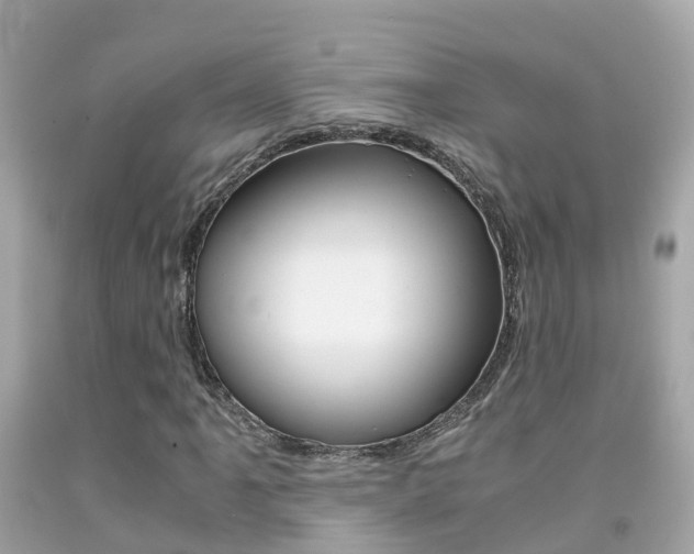 X0000091861061200709050952