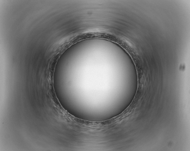 X0000091861062200709050952