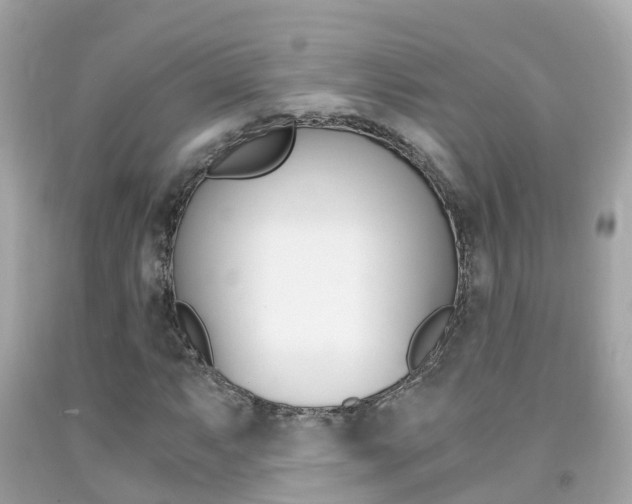 X0000091861063200709050952