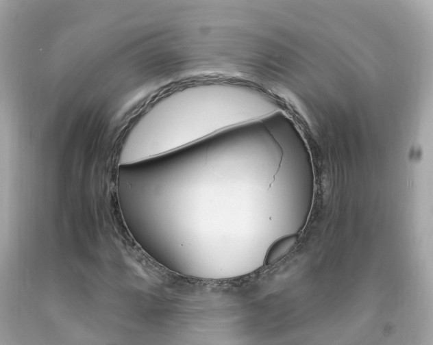 X0000091861064200709050952