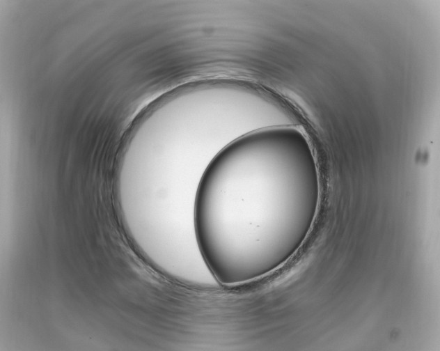 X0000091861065200709050952