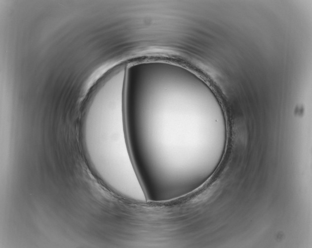 X0000091861066200709050952