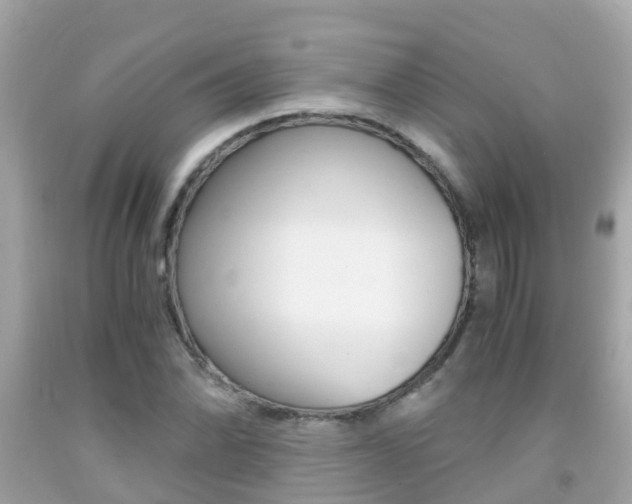 X0000091861070200709050952