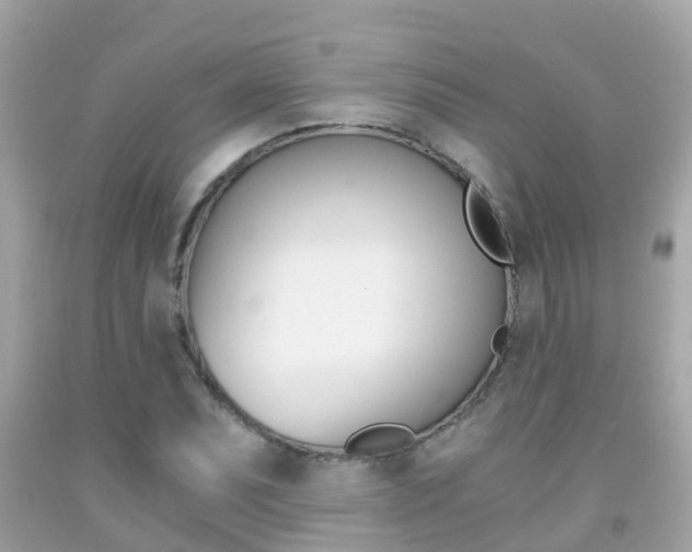 X0000091861071200709050952
